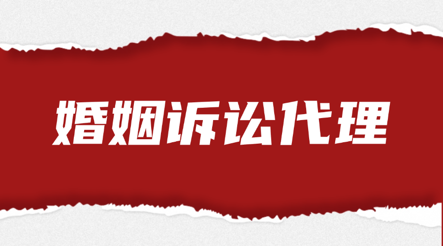 婚姻诉讼指导法律服务