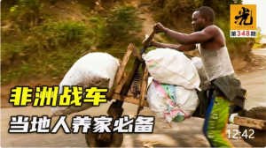 微信截图_20230618212745-1-768x431