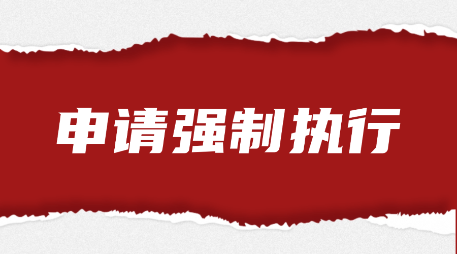 申请强制执行法律服务