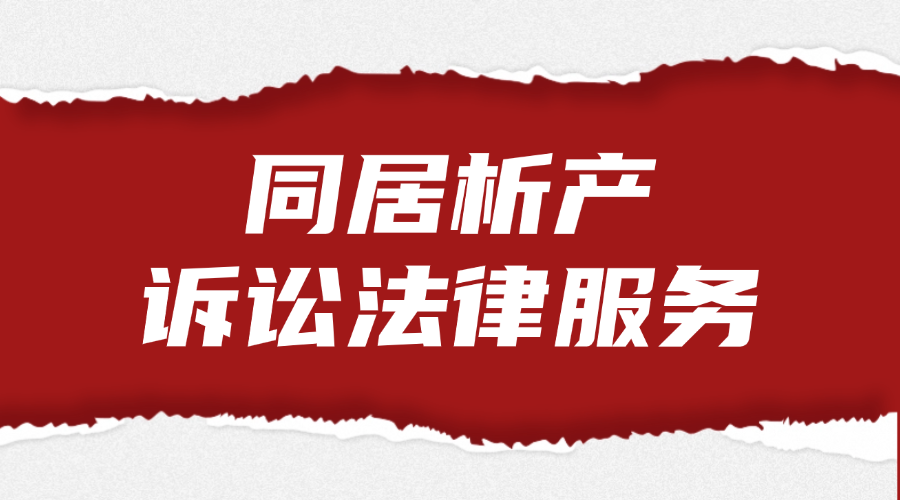 同居析产诉讼法律服务