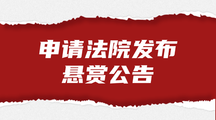 申请法院发布悬赏公告法律服务